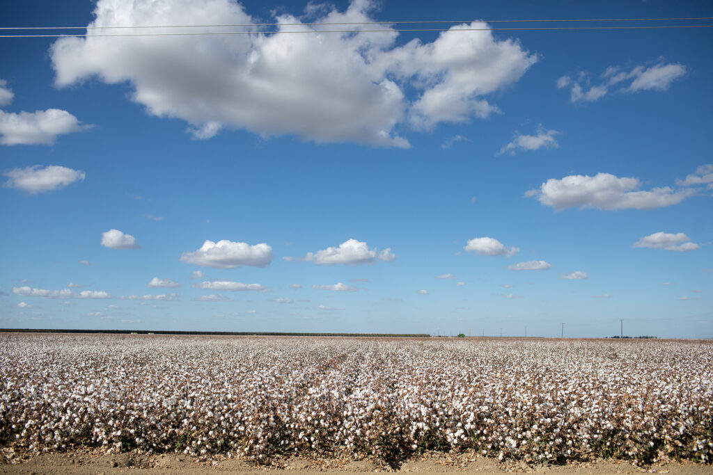 California Cotton & Climate Coalition
