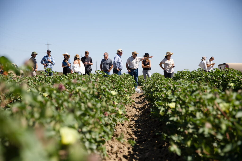 About California Cotton & Climate Coalition